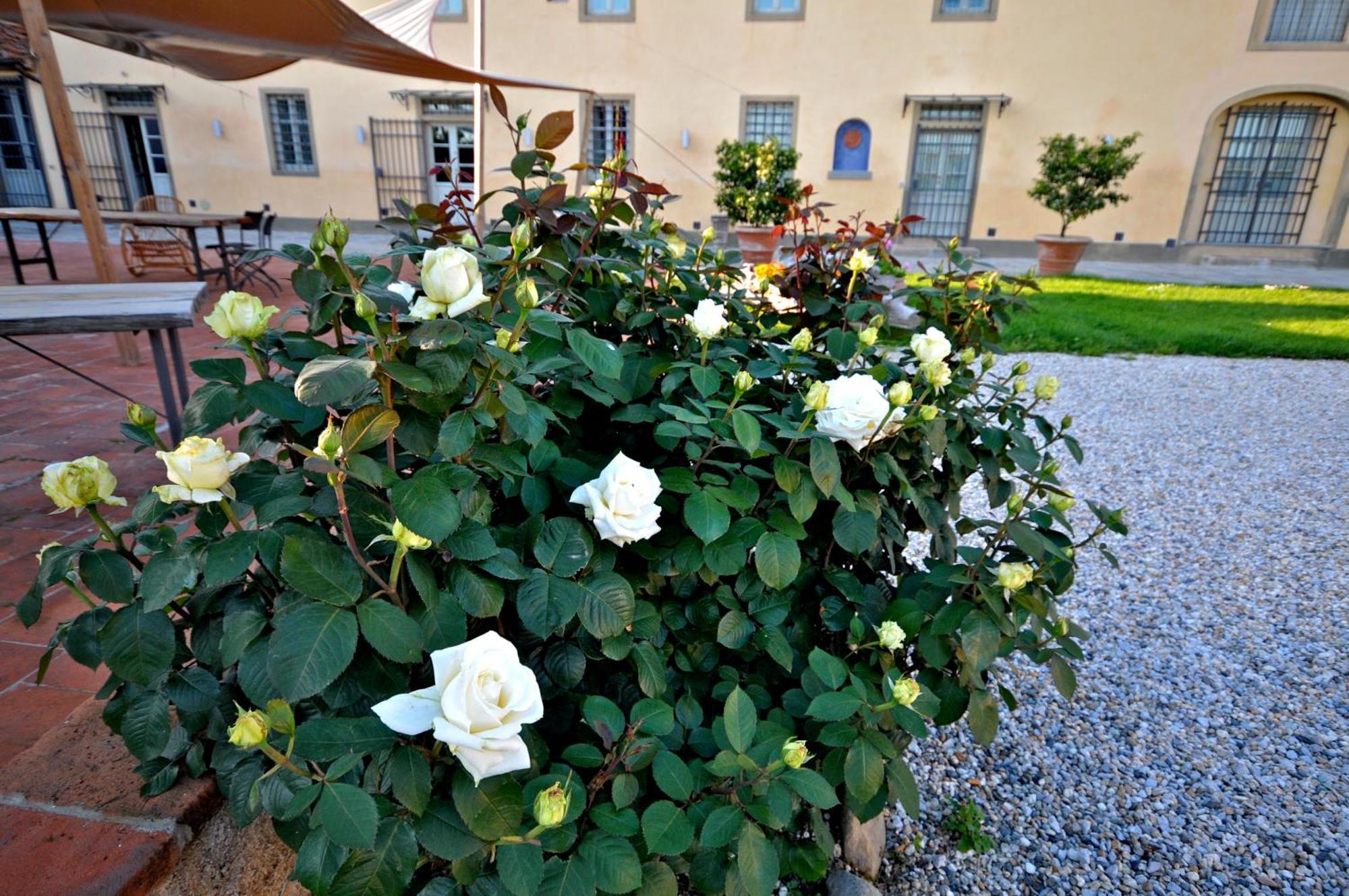 Agriturismo San Rocco Pistoia Kültér fotó