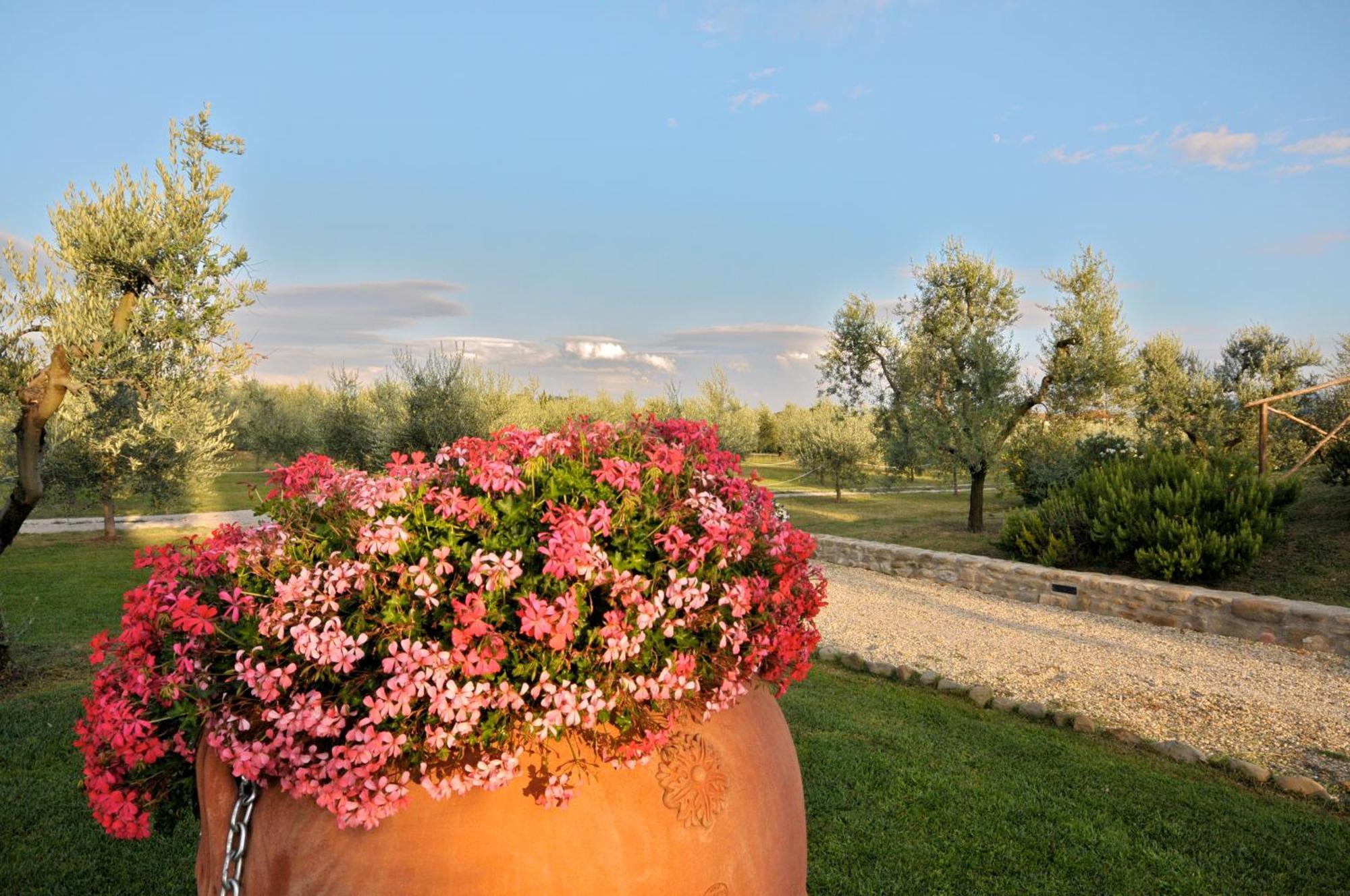 Agriturismo San Rocco Pistoia Kültér fotó